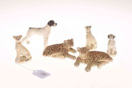 Six animal models by Miranda Smith including four dogs