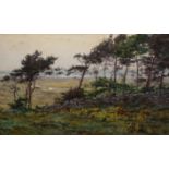 ETHEL ATCHERLEY (1864-1905), WINDSWEPT TREES BY AN OLD STONE WALL, signed lower right, watercolour,