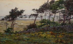 ETHEL ATCHERLEY (1864-1905), WINDSWEPT TREES BY AN OLD STONE WALL, signed lower right, watercolour,