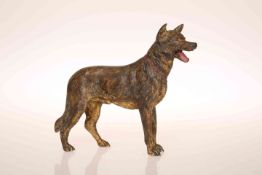 A COLD-PAINTED BRONZE MODEL OF AN ALSATIAN, probably Austrian c.