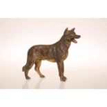 A COLD-PAINTED BRONZE MODEL OF AN ALSATIAN, probably Austrian c.