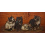 BESSIE BAMBER (1870-1910), FOUR KITTENS, signed with initials and dated (19)03 lower right,