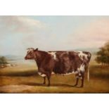 WILLIAM HENRY DAVIS (1795-1865), SHORTHORN COW IN A LANDSCAPE, signed and dated 1861 lower left,