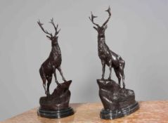 AFTER MOIGNIEX, A LARGE PAIR OF BRONZE STAGS, on stepped marble bases.