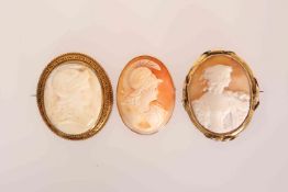 A GROUP OF THREE SHELL CAMEO BROOCHES: the first late 19th Century,