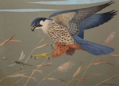 RALSTON GUDGEON (1910-1984), A PEREGRINE FALCON SWOOPING TO CATCH A DRAGONFLY, signed lower right,