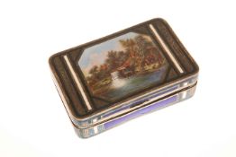 A FINE CONTINENTAL SILVER AND ENAMEL SNUFF BOX, EARLY 20TH CENTURY, rectangular,