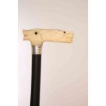 AN IVORY HANDLED, SILVER COLLARED AND EBONISED WALKING CANE, London 1926,