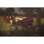HORACE MANN LIVENS (BRITISH, 1862-1936), COWS AT PASTURE, signed lower left, oil on canvas,