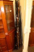 Large collection of fishing rods