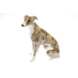 Winstanley greyhound,