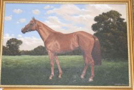 Jean Glenn Mitchell, Study of a Horse, oil on canvas, signed and dated lower right, 50cm by 75cm,