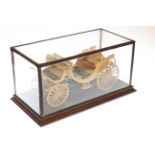 Wooden model of a horse drawn carriage in glazed case