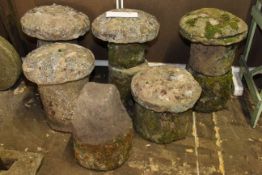 Collection of nine weathered staddle stones and four tops (13)