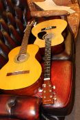 Elevation & Resonata acoustic guitars