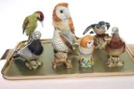 Seven large Beswick birds including kingfisher, owls, pigeons,