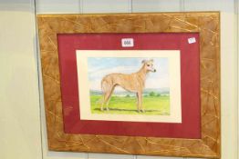 DM & EM Alderson, Study of a Greyhound, watercolour, signed and dated 1967 lower right, 16.