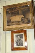 Gilt framed print 'A Short Horned Heifer 7yrs old' and burr walnut framed portrait print of The
