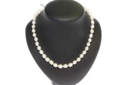 Rice shape freshwater pearl necklace