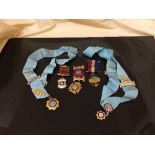 A bag of a collection of ROAB medals