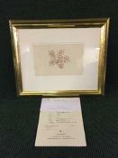 A gilt framed Henri Matisse Lithographic print 'Leaves', limited edition numbered 143/320,