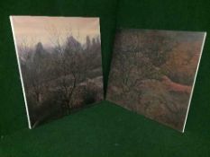 Elizabeth Talbot - Two large oils on canvas - landscape scenes