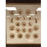 After John Duncan : Twenty-one hand coloured engraved portraits of birds, framed.