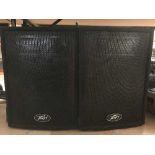 A pair of Pavey Pro12 speakers
