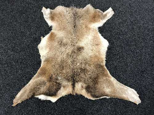 A deer skin rug, fringed wall hanging,