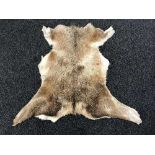 A deer skin rug, fringed wall hanging,