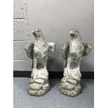 A pair of garden figures - eagles