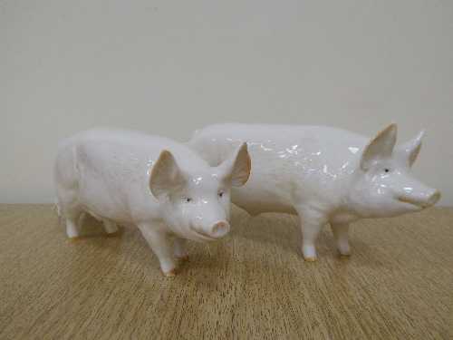 A Beswick figure - Boar Ch. "Wall Champion Boy 53rd", model 1453A, gloss. Together with Sow Ch.