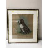 Marjorie Cox : study of a spaniel, pastel,