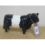 A Beswick figure - Galloway Bull, Belted, model 1746B, gloss.