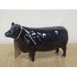 A Beswick figure - Aberdeen Angus Cow, model 1563, gloss.