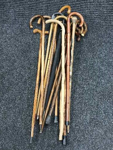 A large bundle of walking sticks
