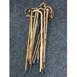 A large bundle of walking sticks