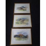 Three framed watercolour and pen and ink drawings depicting rural mountain landscapes