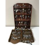 A large collection of crested teaspoons on wooden stands