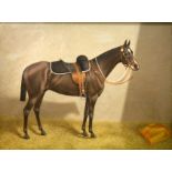 G. HEDLEY. Brown throughbred Horse Oil on canvas. Signed. 44cm x 60cm.