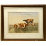 THOMAS SYDNEY COOPER. Cows and a calf. Watercolour. 18 x 26cm.. Signed.