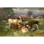 ANDREW A. DOUGLAS. Calves in a field. Oil on canvas. 37cm x 54cm.