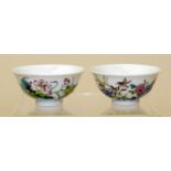 Pair of small Chinese porcelain bowls finely enamelled with birds and insects amongst sprays of