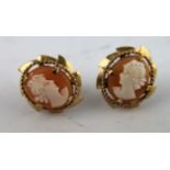 Pair of cameo oval ear studs, 9ct gold.