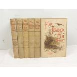 Fur, Feather & Fin Series. 6 various vols. Illus. Uniform dec. cloth, c.1890's/1900's.