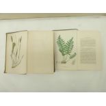 LOWE E. J. A Natural History of British Grasses. Good col. plates. Orig. embossed green cloth.