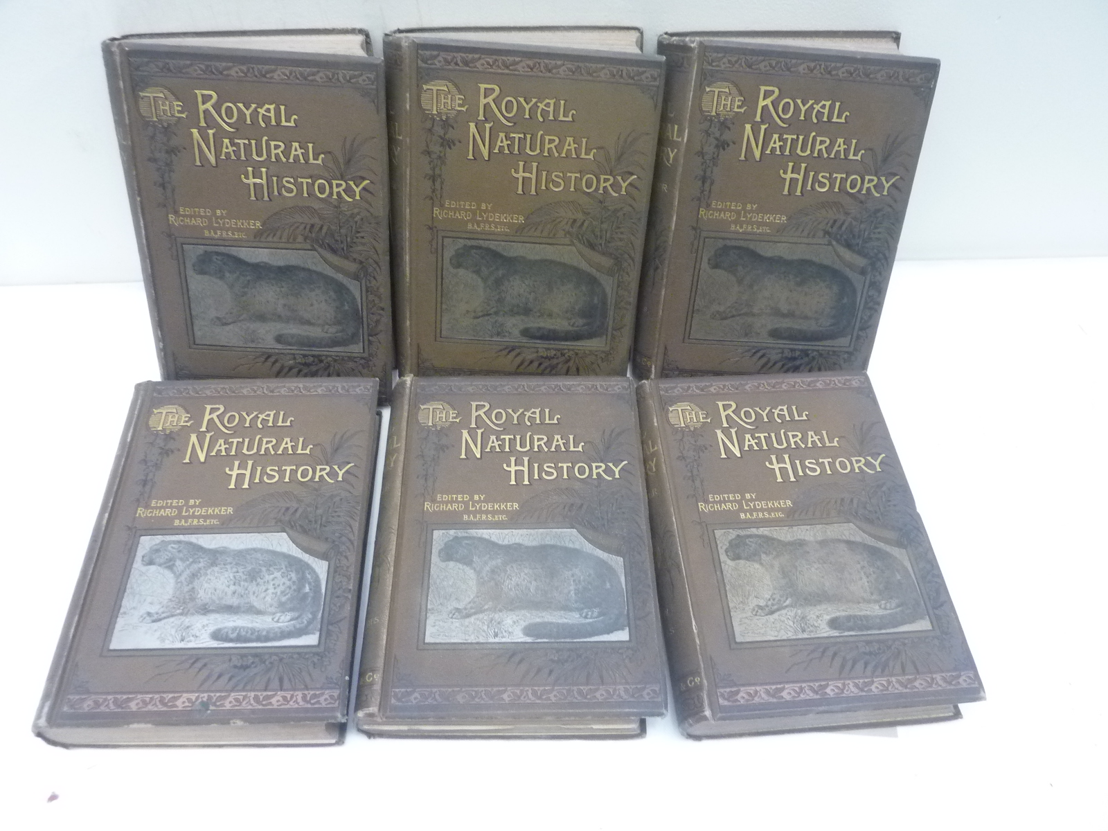LYDEKKER RICHARD. The Royal Natural History. 6 vols. Many chromolitho & other plates & illus.