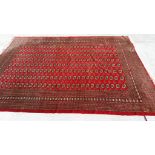 Large Kayam Afgan rug carpet with red ground.