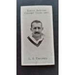 TADDY, South African Cricket Team 1907, Tancred, VG