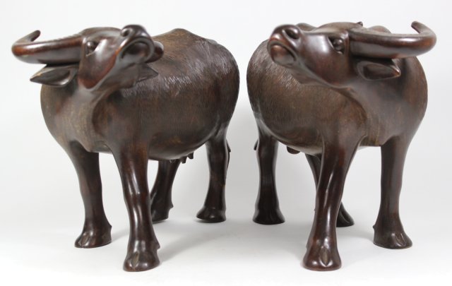 Pair Carved Wood Water Buffalo